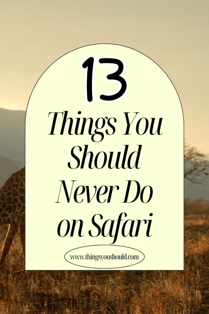 Things You Should Never Do on Safari